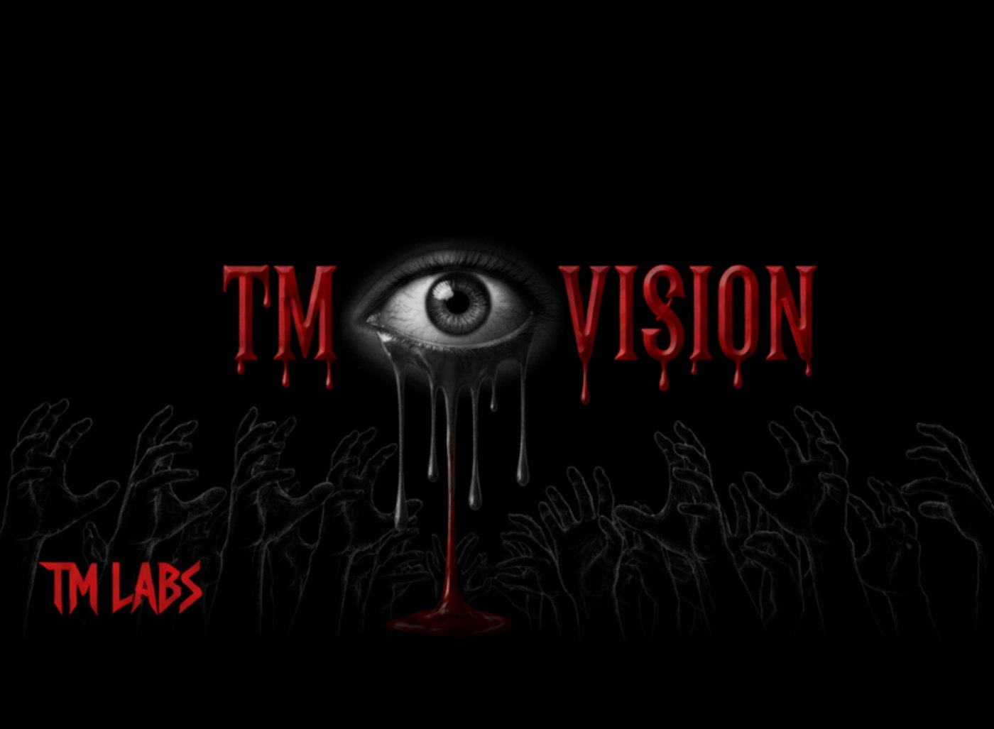 TM Vision